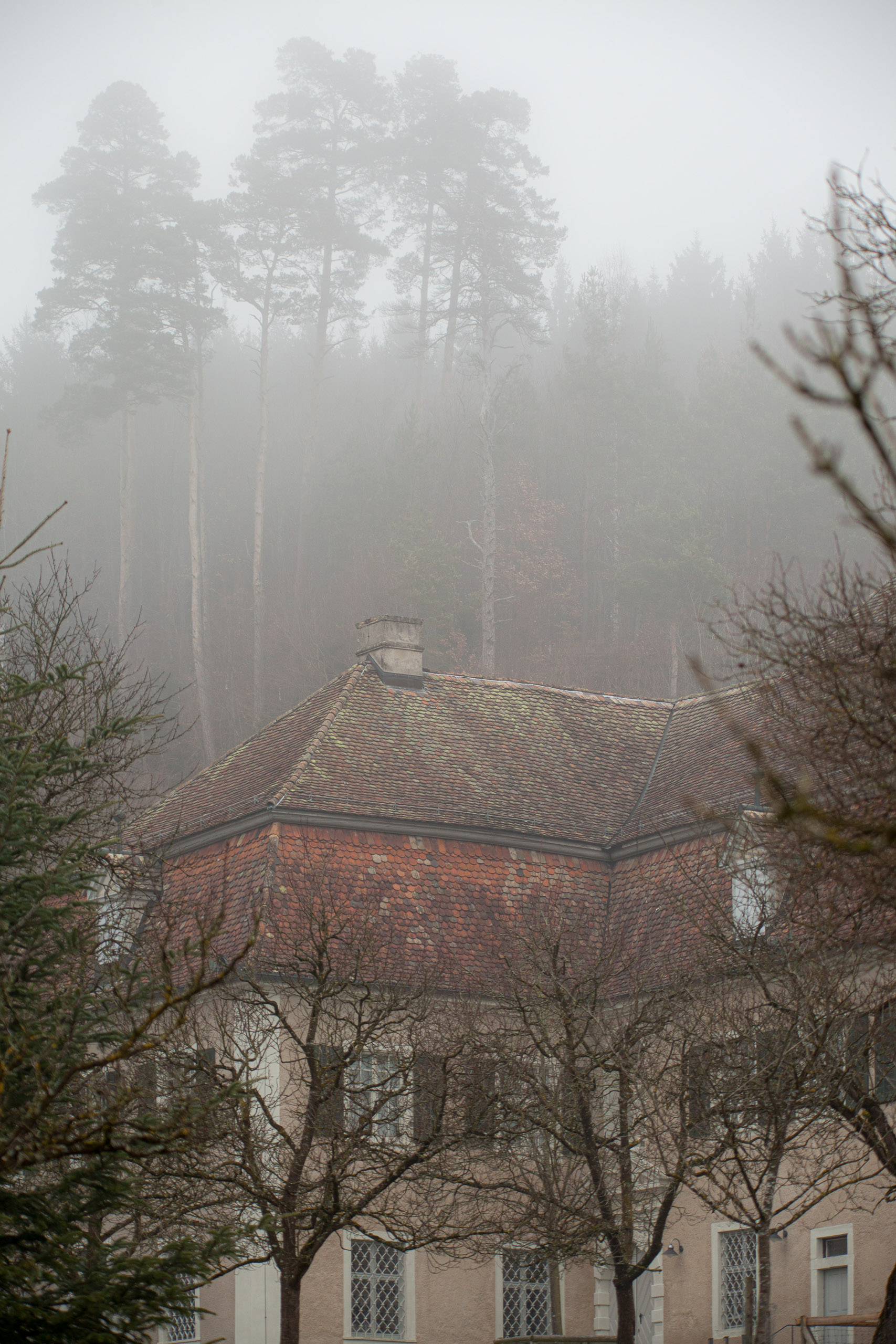 20120225101351 IMG 3550